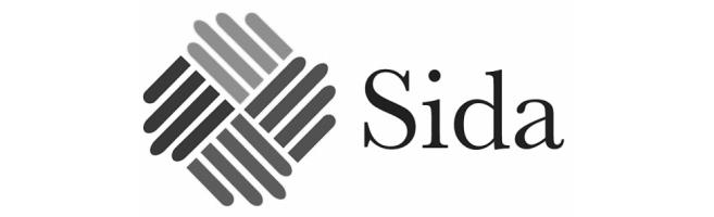 Development Consulting AMSCO Partners SIDA