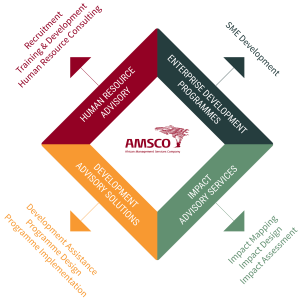 AMSCO services